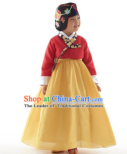 Asian Korean National Handmade Formal Occasions Wedding Clothing Red Embroidered Blouse and Yellow Dress Palace Hanbok Costume for Kids