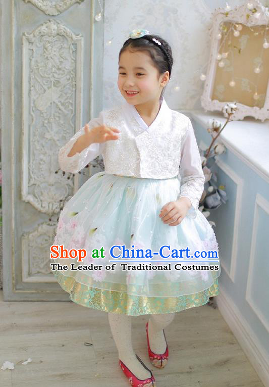 Asian Korean National Handmade Formal Occasions Wedding Girls Clothing Embroidered White Lace Blouse and Blue Dress Palace Hanbok Costume for Kids