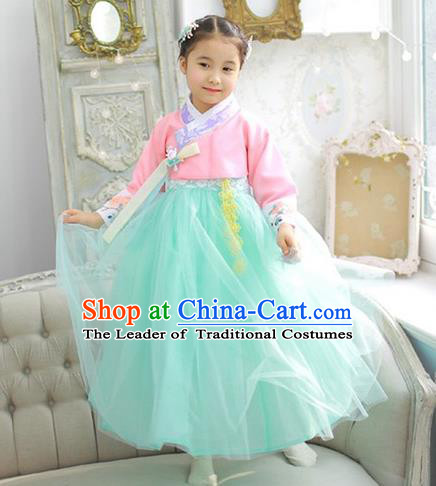 Asian Korean National Handmade Formal Occasions Wedding Girls Clothing Embroidered Pink Blouse and Green Veil Dress Palace Hanbok Costume for Kids