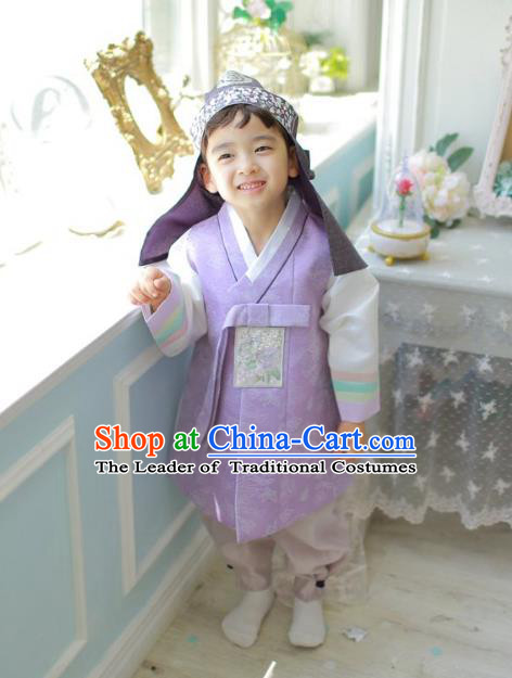 Asian Korean National Traditional Handmade Formal Occasions Boys Embroidery Purple Vest Hanbok Costume Complete Set for Kids