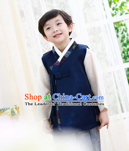 Asian Korean National Traditional Handmade Formal Occasions Boys Embroidery Dark Blue Vest Hanbok Costume Complete Set for Kids