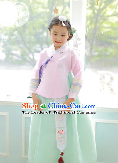 Korean National Handmade Formal Occasions Girls Clothing Palace Hanbok Costume Embroidered Pink Blouse and Green Dress for Kids