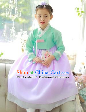 Traditional Korean National Handmade Formal Occasions Girls Clothing Palace Hanbok Costume Embroidered Green Blouse and Purple Dress for Kids