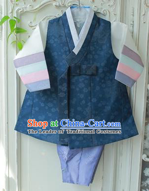 Asian Korean National Traditional Handmade Formal Occasions Boys Embroidery Clothing Navy Vest Hanbok Costume Complete Set for Kids