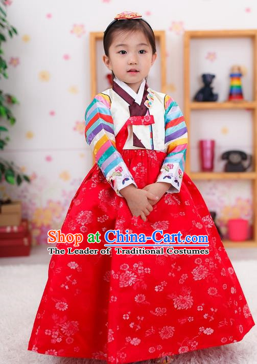 Traditional Korean Handmade Formal Occasions Embroidered Girls Costume, Asian Korean Apparel Bride Hanbok Red Dress Clothing for Kids