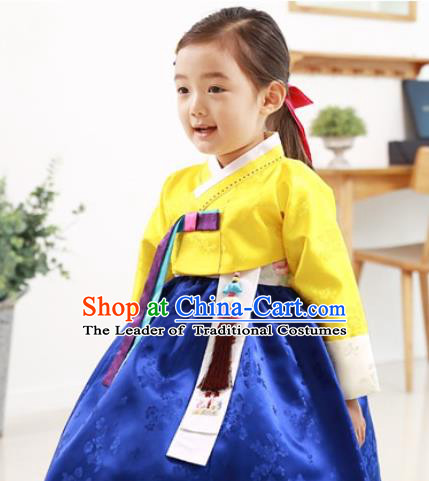 Traditional Korean Handmade Formal Occasions Embroidered Baby Princess Hanbok Blue Dress Clothing for Girls