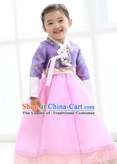 Traditional Korean Handmade Formal Occasions Embroidered Baby Princess Hanbok Pink Dress Clothing for Girls