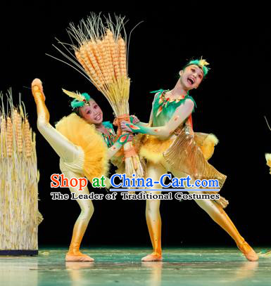 Traditional Chinese Classic Stage Performance Dance Costume, Folk Dance Drum Dance Uniform Yangko Clothing for Kids