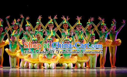 Traditional Chinese Yangge Fan Dancing Costume Modern Dance Dress Clothing and Headwear