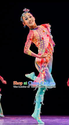 Traditional Chinese Classic Stage Performance Dance Costume, Chinese Folk Dance Ballet Dance Clothing for Women