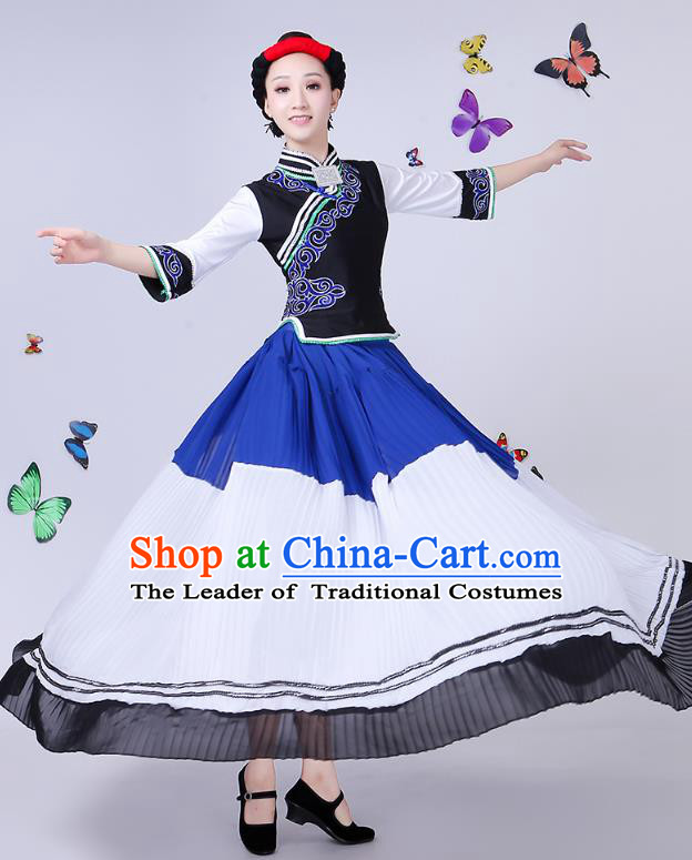 Traditional Chinese Yi Nationality Dance Costume, Chinese Minority Hmong Folk Dance Torch Festival Pleated Skirt Embroidery Costume for Women