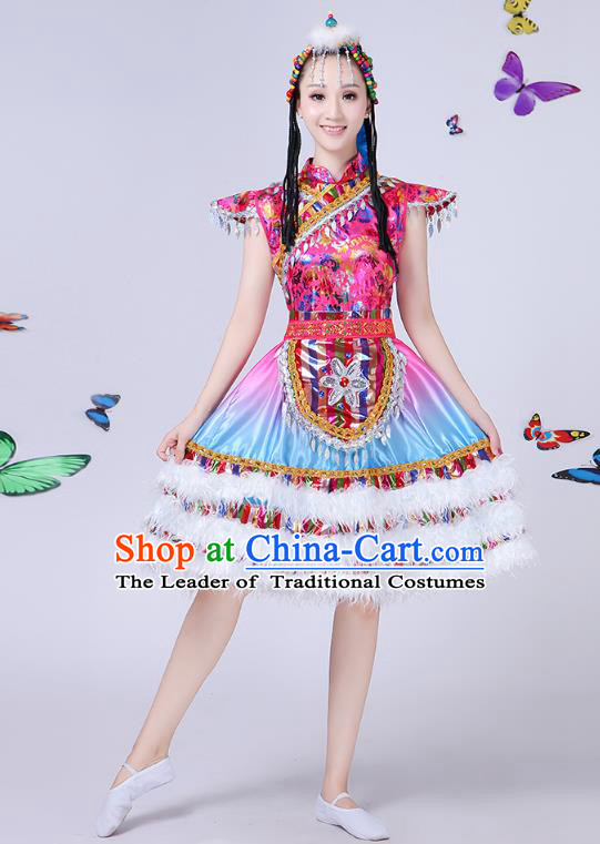Traditional Chinese Mongol Nationality Dance Costume, Chinese Mongolian Minority Folk Dance Embroidery Short Dress for Women