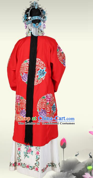 Traditional China Beijing Opera Costume Gifted Scholar Embroidered Robe and Hat Ancient Chinese Peking Opera Embroidery Clothing