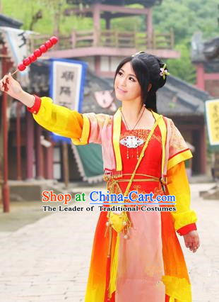 Traditional Ancient Chinese Swordsman Costumes for Women