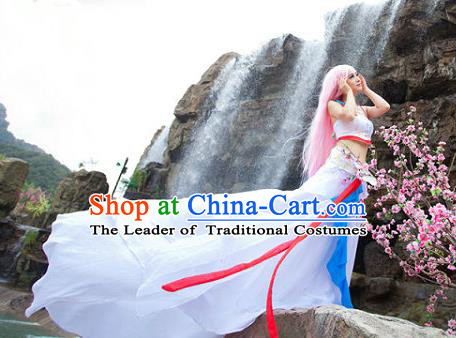 Traditional Ancient Chinese Cos Swordsman White Costumes for Women