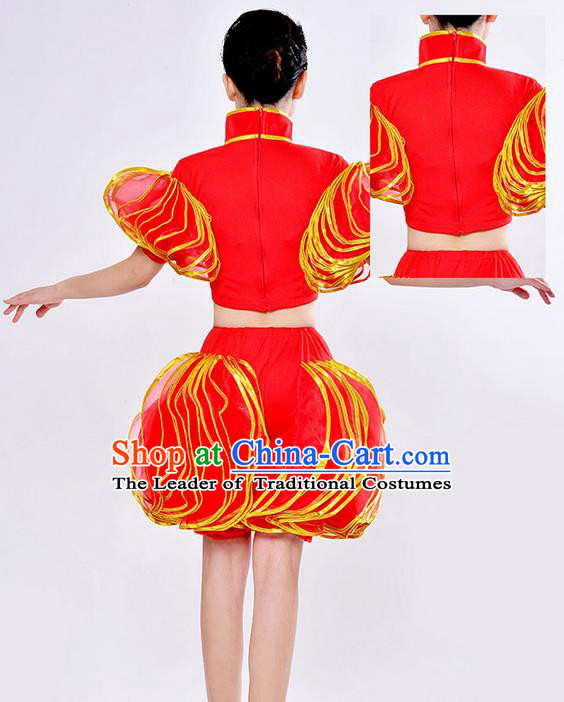 Traditional Long Sleeve Water Sleeve Dance Suit