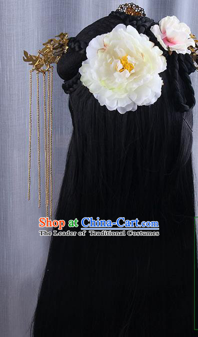 Chinese Ancient Swordsman Long Wig Set