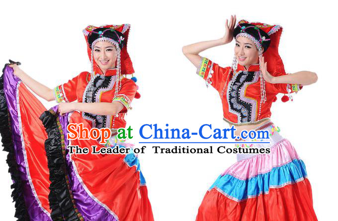 Traditional Chinese Yangge Fan Dancing Costume and Accessories