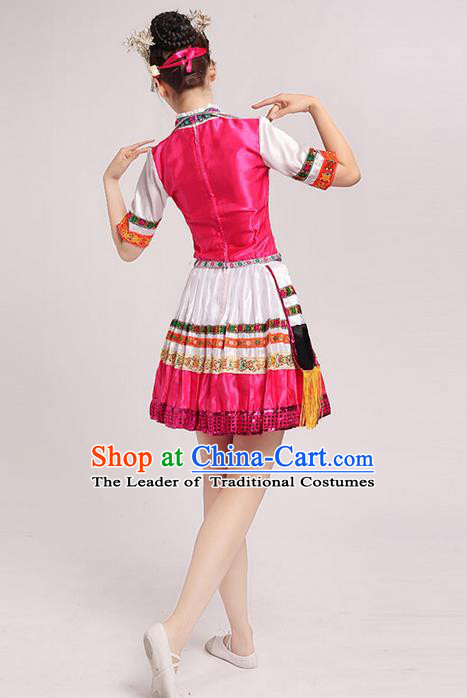 Traditional Chinese Yangge Fan Dancing Costume and Accessories