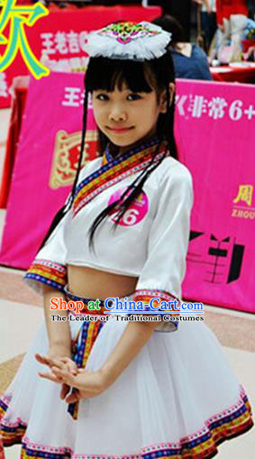 Traditional Chinese Yangge Fan Dancing Costume and Accessories