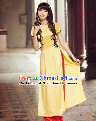 http://www.china-cart.com/u/175/1063250/Vietnamese_Trational_Dress_Vietnam_Ao_Dai_Cheongsam_Clothing.jpg