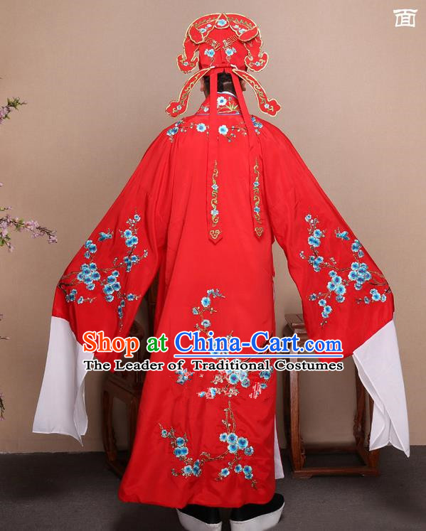 Traditional Beijing Opera Ancient Chinese Young Women Dress Clothing