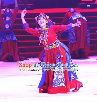 Traditional Chinese Zang Nationality Dancing Costume, Tibetan Female Folk Dance Ethnic Pleated Skirt, Chinese Minority Nationality Red Dress for Women