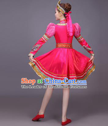 Traditional Chinese Yangge Fan Dancing Costume Modern dancing Dress Clothing