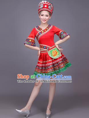 Traditional Chinese Yangge Fan Dancing Costume Modern dancing Dress Clothing