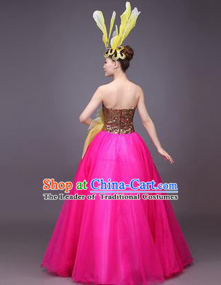 Traditional Chinese Yangge Fan Dancing Costume Modern dancing Dress Clothing