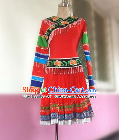 Traditional Chinese Yi Nationality Dancing Costume Female Folk Dance Ethnic Pleated Skirt, Chinese Minority Nationality Embroidery Dress for Women