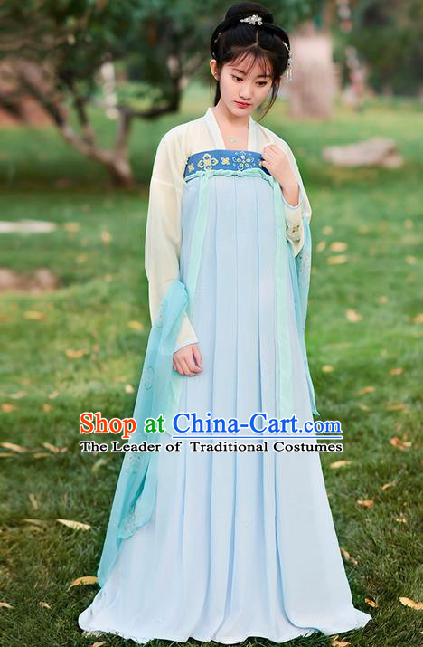 Traditional Ancient Chinese Costume Tang Dynasty Embroidery Blouse and Slip Dress, Elegant Hanfu Clothing Chinese Young Lady Princess Costume for Women