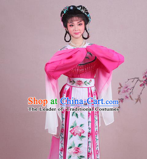 Traditional China Beijing Opera Niche Costume Gifted Scholar Embroidered Robe and Hat Ancient Chinese Peking Opera Embroidery Clothing