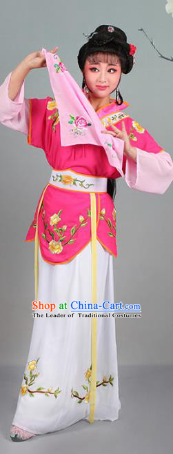Traditional China Beijing Opera Niche Costume Gifted Scholar Embroidered Robe and Hat Ancient Chinese Peking Opera Embroidery Clothing