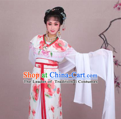 Traditional China Beijing Opera Niche Costume Gifted Scholar Embroidered Robe and Hat Ancient Chinese Peking Opera Embroidery Clothing