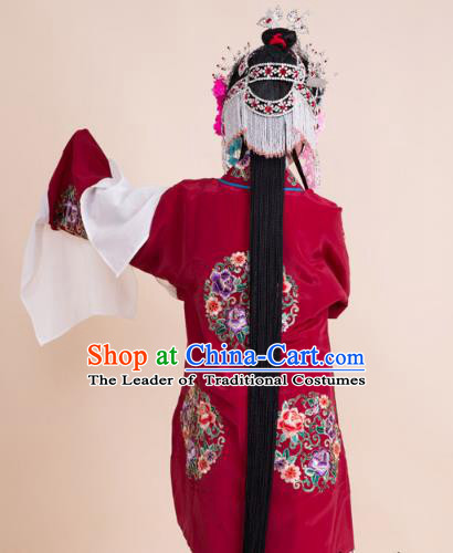 Traditional China Beijing Opera Niche Costume Gifted Scholar Embroidered Robe and Hat Ancient Chinese Peking Opera Embroidery Clothing