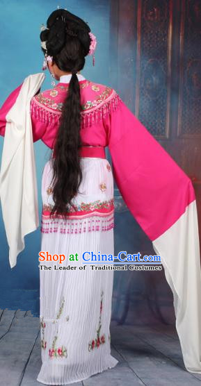 Traditional China Beijing Opera Niche Costume Gifted Scholar Embroidered Robe and Hat Ancient Chinese Peking Opera Embroidery Clothing