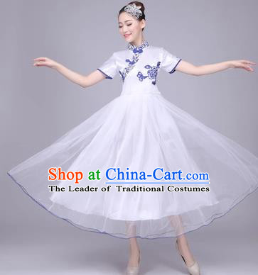 Traditional Chinese Classical Dance Cheongsam Costume, China Folk Dance White Veil Long Dress for Women