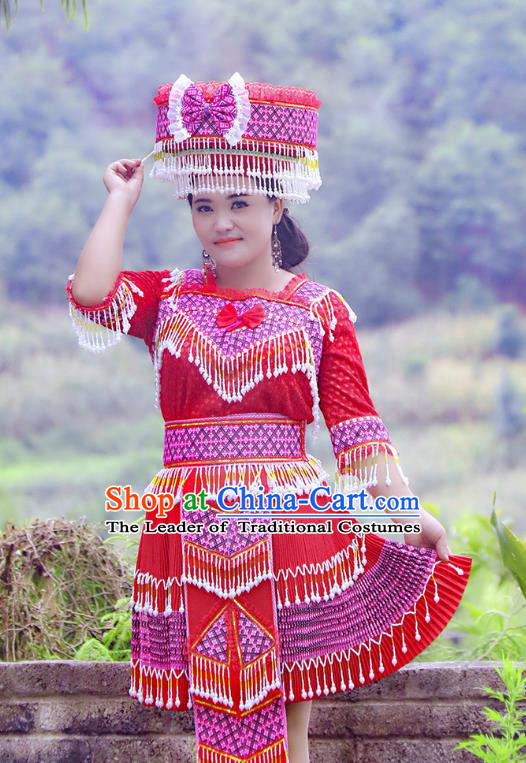 Traditional Chinese Miao Nationality Dancing Costume Hmong Female Folk Dance Ethnic Pleated Skirt Chinese Minority Nationality Embroidery Costume for Women