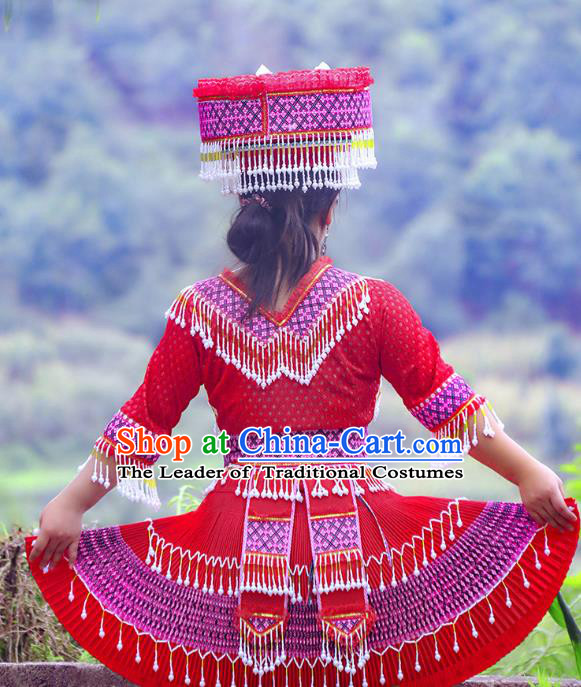 Traditional Chinese Miao Nationality Dancing Costume Hmong Female Folk Dance Ethnic Pleated Skirt Chinese Minority Nationality Embroidery Costume for Women