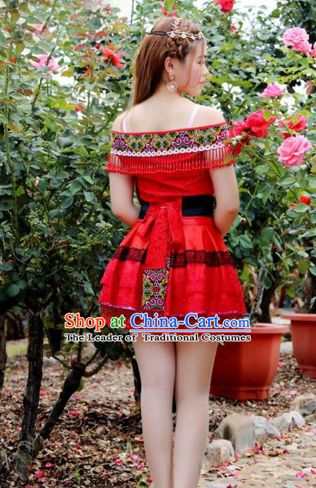Traditional Chinese Miao Nationality Dancing Costume Hmong Female Folk Dance Ethnic Pleated Skirt Chinese Minority Nationality Embroidery Costume for Women