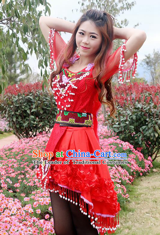 Traditional Chinese Miao Nationality Dancing Costume Hmong Female Folk Dance Ethnic Pleated Skirt Chinese Minority Nationality Embroidery Costume for Women