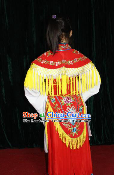 Traditional China Beijing Opera Costume Gifted Scholar Embroidered Robe and Hat Ancient Chinese Peking Opera Embroidery Clothing