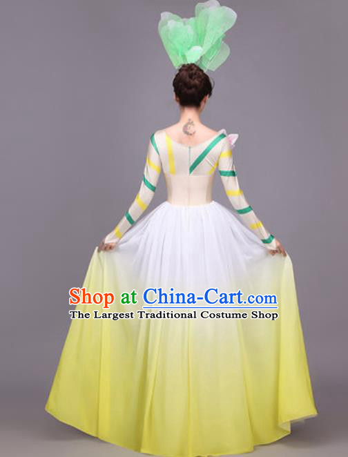 Traditional Chinese Fan Dance Folk Dance Costume Classical Yangko Dance Classical Dance Dress