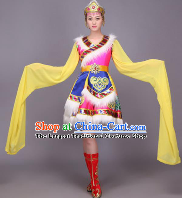 Chinese Traditional Zang Nationality Dance Costume Tibetan Minority Folk Dance Dress for Women