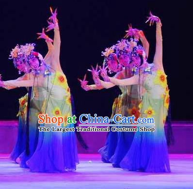 Chinese Traditional Folk Dance Costume Beijing Opera Classical Dance Dress for Women