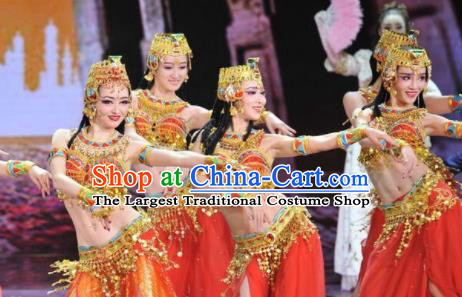 Traditional Chinese Fan Dance Folk Dance Costume Classical Yangko Dance Classical Dance Dress