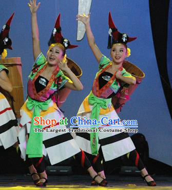 Traditional Chinese Fan Dance Folk Dance Costume Classical Yangko Dance Classical Dance Dress