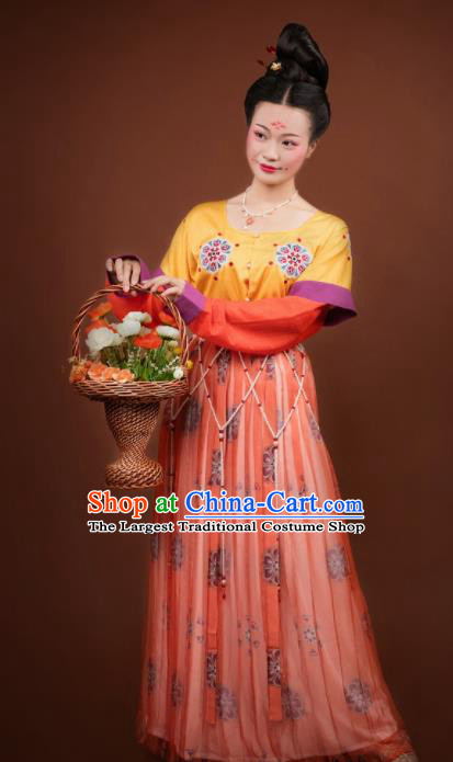 Traditional Chinese Tang Dynasty Palace Lady Hanfu Dress Ancient Apsara Princess Costumes for Women