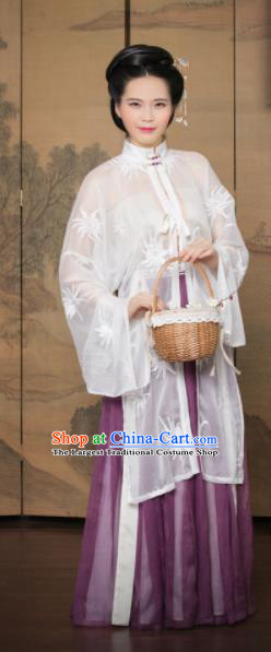 Traditional Chinese Ming Dynasty Countess Hanfu Dress Ancient Nobility Lady Costumes for Women